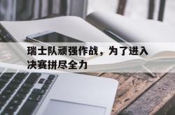 半岛体育app下载-瑞士队顽强作战，为了进入决赛拼尽全力